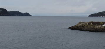 43 Cove Road, Colliers, Newfoundland & Labrador