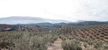 Finca rústica en venta en Loja