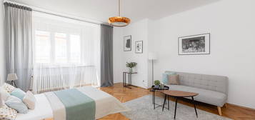 Pronájem bytu 1+1 56 m²