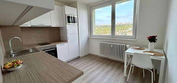 Pronájem bytu 1+1 45 m²