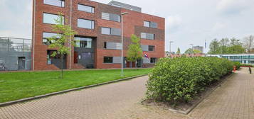 Het Hout 207