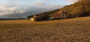 Terrain agricole avec maison et granges