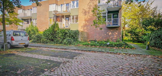 van Borsselestraat 57