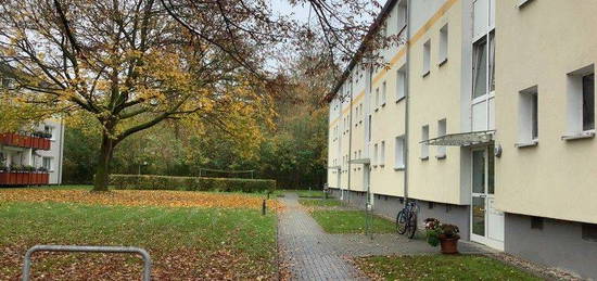 Lust auf diese schöne sanierte 3-Zimmer- Erdgeschoss- Wohnung mit Balkon?