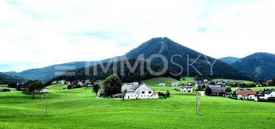 Landhaus mit Traumlage, Bergblick und vielen Möglichkeiten (Faistenau)