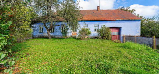 Prodej  zemědělské usedlosti 200 m², pozemek 4 091 m²