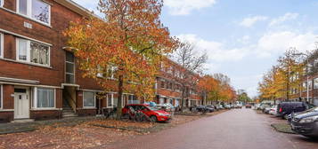 Vreeswijkstraat 589