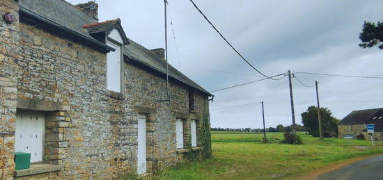 Maison partiellement habitable (55m² au sol) à rénover, sur terrain de 1500m² avec un puits