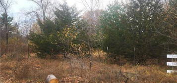 Lot 1 W Leonard St, Chetek, WI 54728