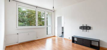 Pronájem bytu 3+1 75 m²