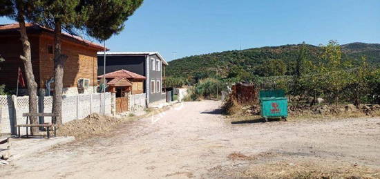 BANDIRMA ALIKANLAR'DA MSTAKL YAZLIK