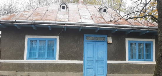 Vand casa taraneasca Brosteni,Bahna,Neamt