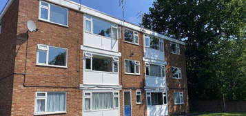 1 bed flat to rent