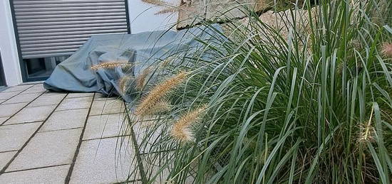 2 ZKB plus Südwestterrasse, eigener Zugang und nah am Waldpark