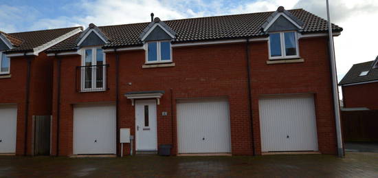 Detached house to rent in Nile Road, Exeter, Devon EX2