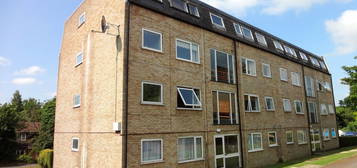 2 bed flat to rent