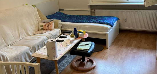 Toplage! Helle 1 Zimmer-Wohnung mit  Balkon nahe des Mains