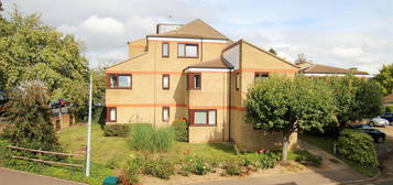 1 bed flat to rent