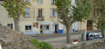 APPARTEMENT avec grande terrasse