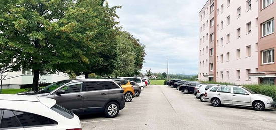 Modern, ausgestattete 2,5-Zimmerwohnung in der Hirtstraße in 4030 Linz (privat)