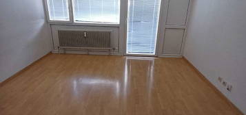 Kleinwohnung Villach Auen