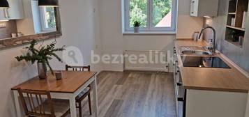 Pronájem bytu 1+1 46 m², Prokopa Holého,