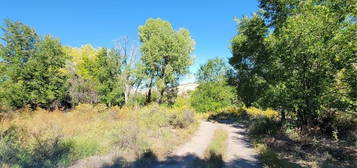 52 State Rd 580, Dixon, NM 87527