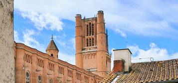 Maison  avec trois chambres - vue cathédrale ou vieil Alby-  Cité Episcopale