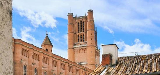 Maison  avec trois chambres - vue cathédrale ou vieil Alby-  Cité Episcopale