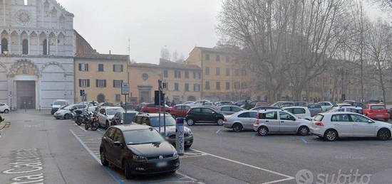 0487 bilocale con giardino a pisa