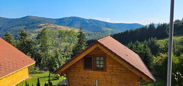 BUSSANG (Hautes - Vosges) magnifique CHALET récent