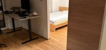 2 Zimmer Wohnung nähe Magna Steyr