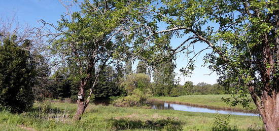 Maison de caractère avec son terrain de deux hectares attenant et son étang