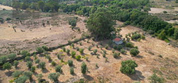 Quintinha  Venda em Castelo Branco,Castelo Branco