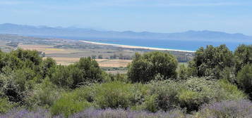 Alquiler de  Finca rústica en camino de la Pista s/n