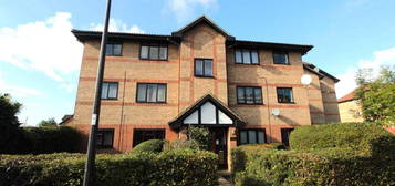 1 bed flat to rent