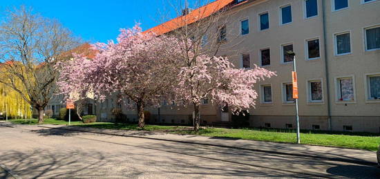 Wohnzimmer mit Eckausblick, großzügige Singlewohnung im Erdgeschoss