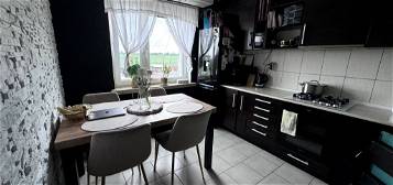 Mieszkanie 45 m² z oddzielną kuchnią na sprzedaż Kobylinek