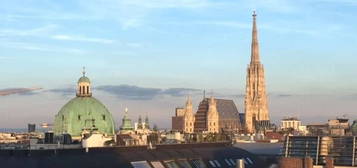 Wohnen in der City in Traumlage mit Blick auf den Stephansdorm