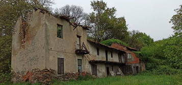 Proprietà rustica all'asta in strada Provinciale 28