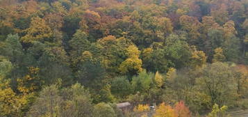 Gemütliche 2 -Zimmer Wohnung mitten im Wienerwald 1.22