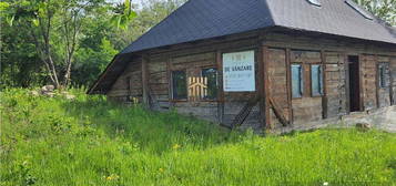 Casa Traditionala in Bucovina! Zona Turistica - Cacica!