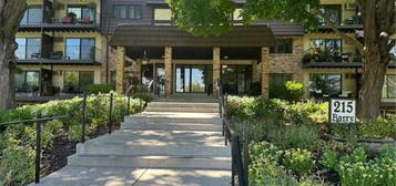 215 Barry Ave S Apt 206, Wayzata, MN 55391