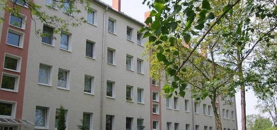 Schöne 3-Raumwohnung mit dem Nordpark vor der Tür