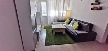 Apartament 2 Camere Teiul Doamnei