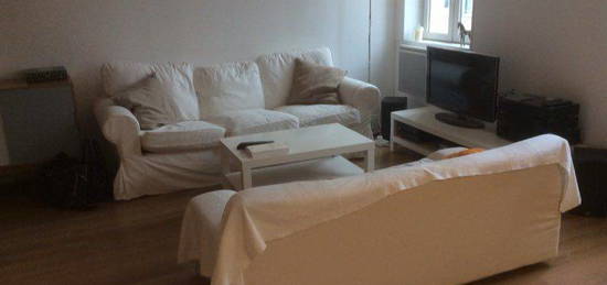 Appartement T3 hyper centre ville