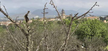 Santa Maria del Camí