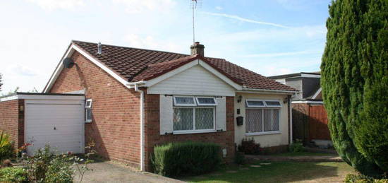 Detached bungalow to rent in Jeffreys Road, Cressing, Braintree CM77