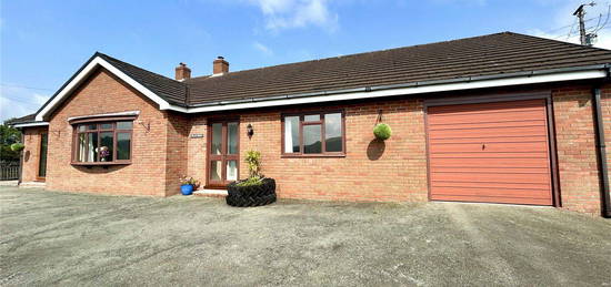 Bungalow to rent in Clatter, Caersws, Powys SY17