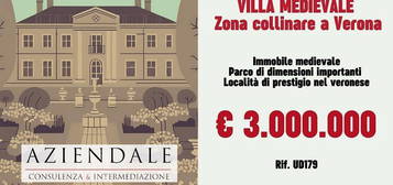 Villa medievale in collina - ideale per eventi